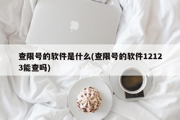 查限号的软件是什么(查限号的软件12123能查吗)