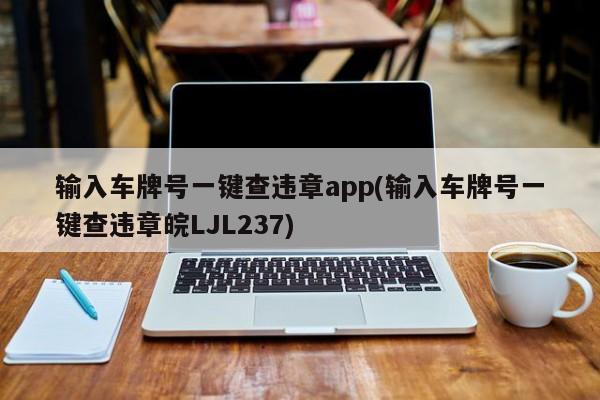 输入车牌号一键查违章app(输入车牌号一键查违章皖LJL237)
