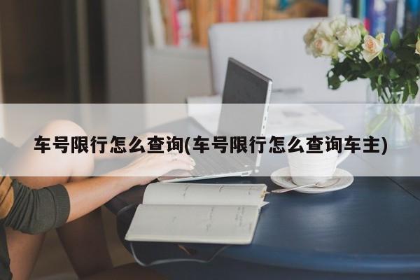 车号限行怎么查询(车号限行怎么查询车主)