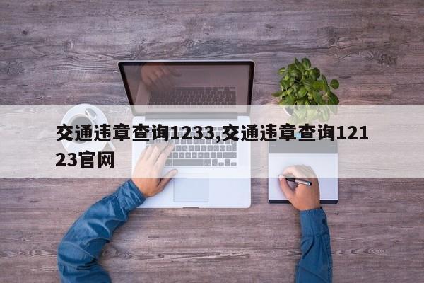 交通违章查询1233,交通违章查询12123官网