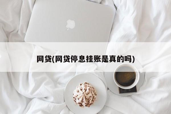 网贷(网贷停息挂账是真的吗)