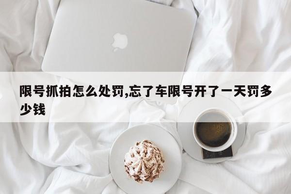 限号抓拍怎么处罚,忘了车限号开了一天罚多少钱