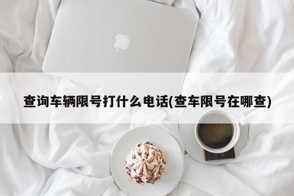 查询车辆限号打什么电话(查车限号在哪查)