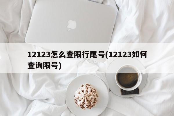12123怎么查限行尾号(12123如何查询限号) 第1张